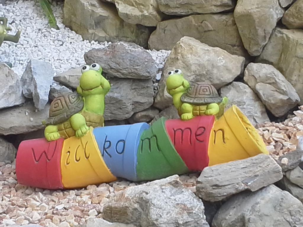 Ferienwohnung Familie Tost Trins Cameră foto